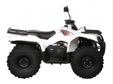 Фото Baltmotors ATV 400 EFI  №1